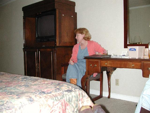 roniroom.jpg (47204 bytes)